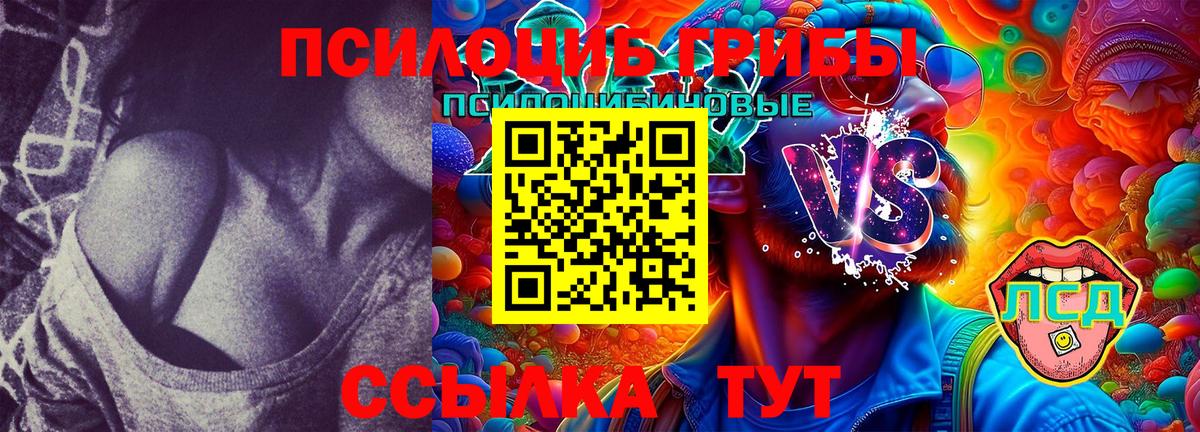 Псилоцибиновые грибы Cubensis Кулебаки
