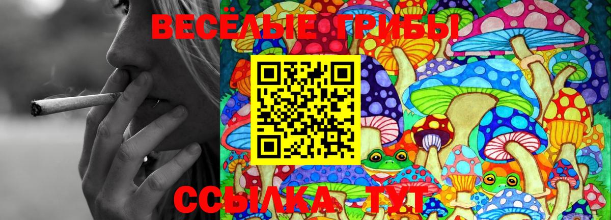Кулебаки  Галлюциногенные грибы MAGIC MUSHROOMS  Галлюциногенные грибы мухоморы  купить закладку  Вход с VPN 